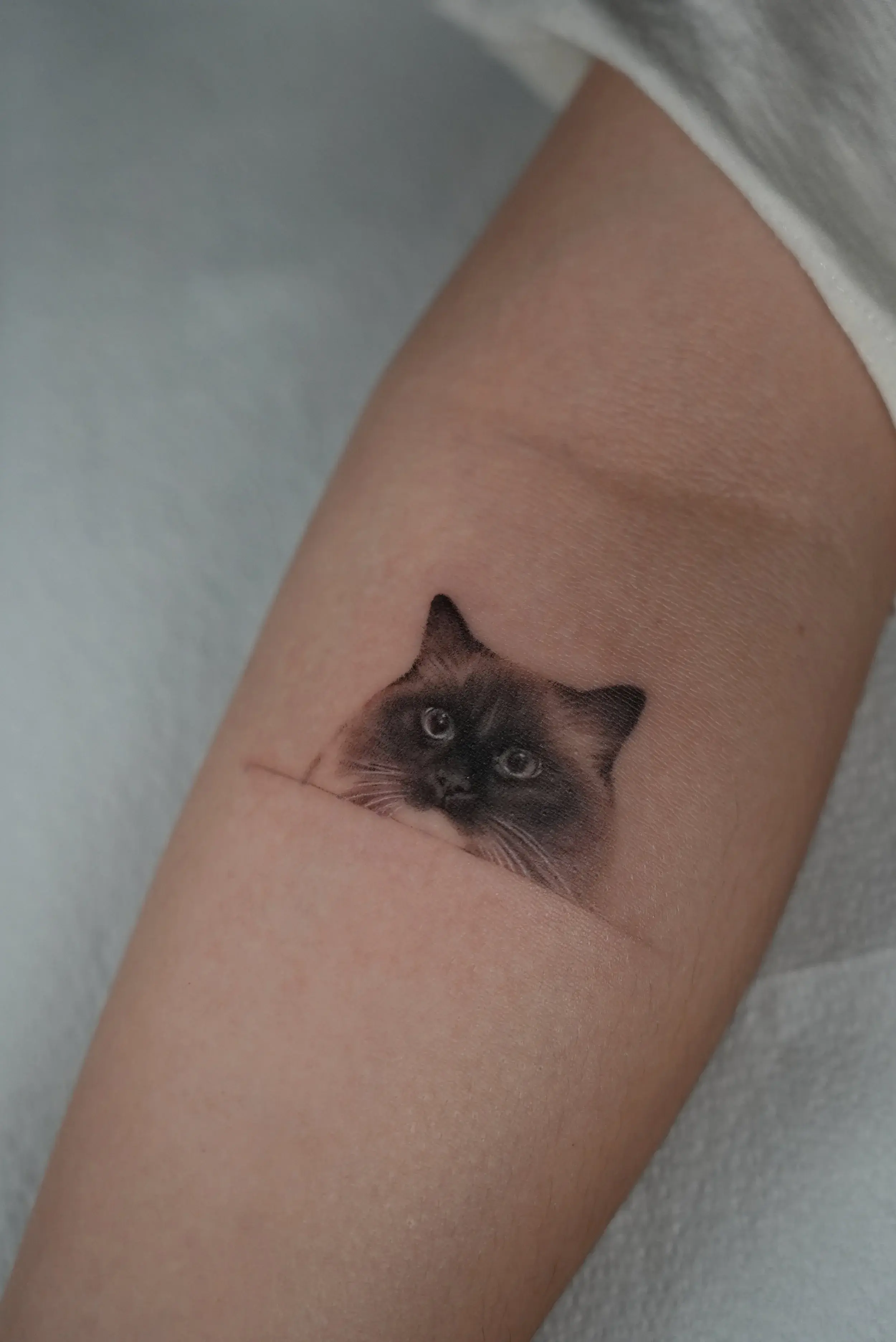 Frau mit realistischem Portrait-Tattoo